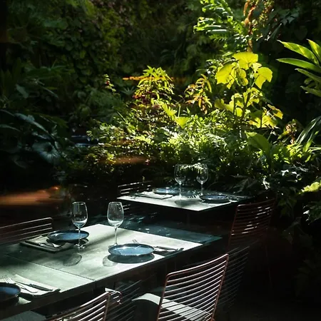 מלון - Member Of Design