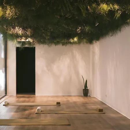 מלון - Member Of Design