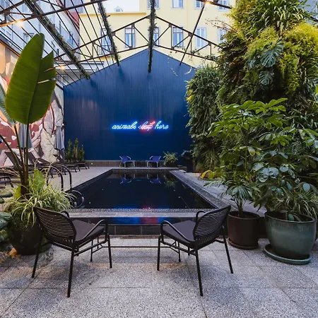 - Member Of Design ליסבון