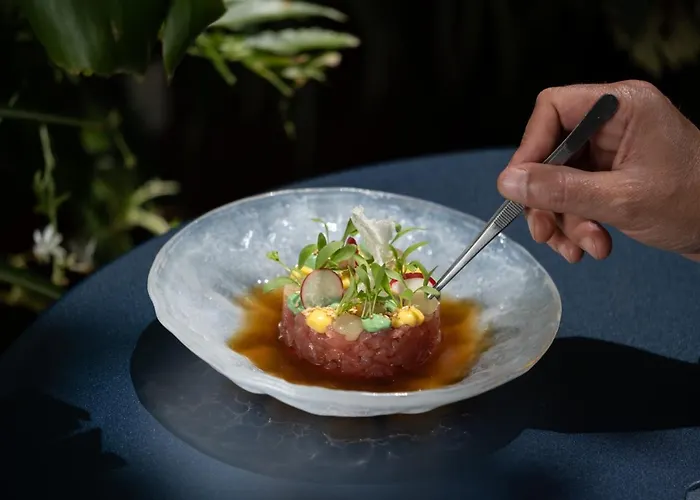 - Member Of Design Lisboa