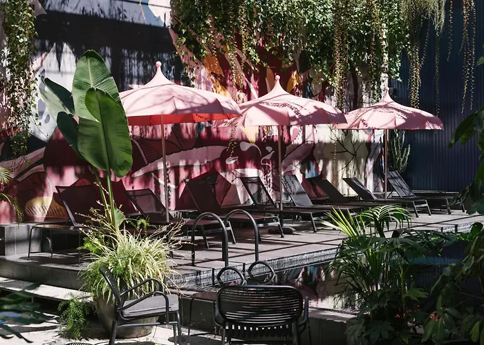 - Member Of Design Lisboa